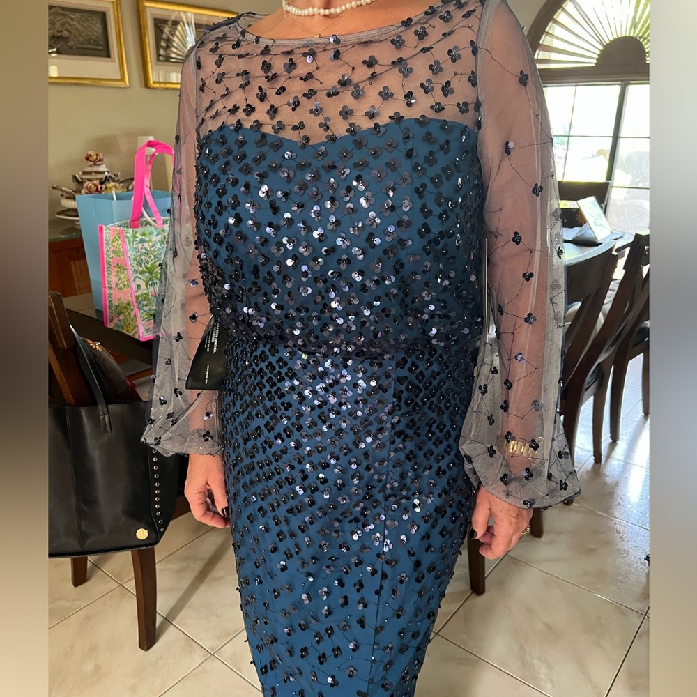 Logan Beaded Illusion Lace Long Sleeve Column Gown